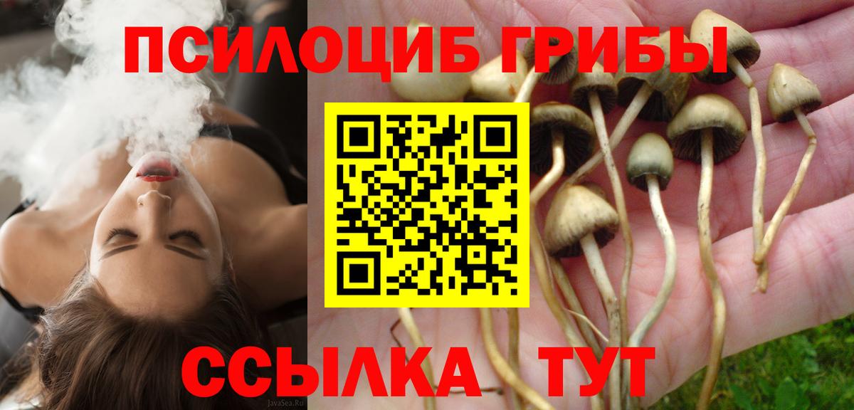 Галлюциногенные грибы MAGIC MUSHROOMS Братск