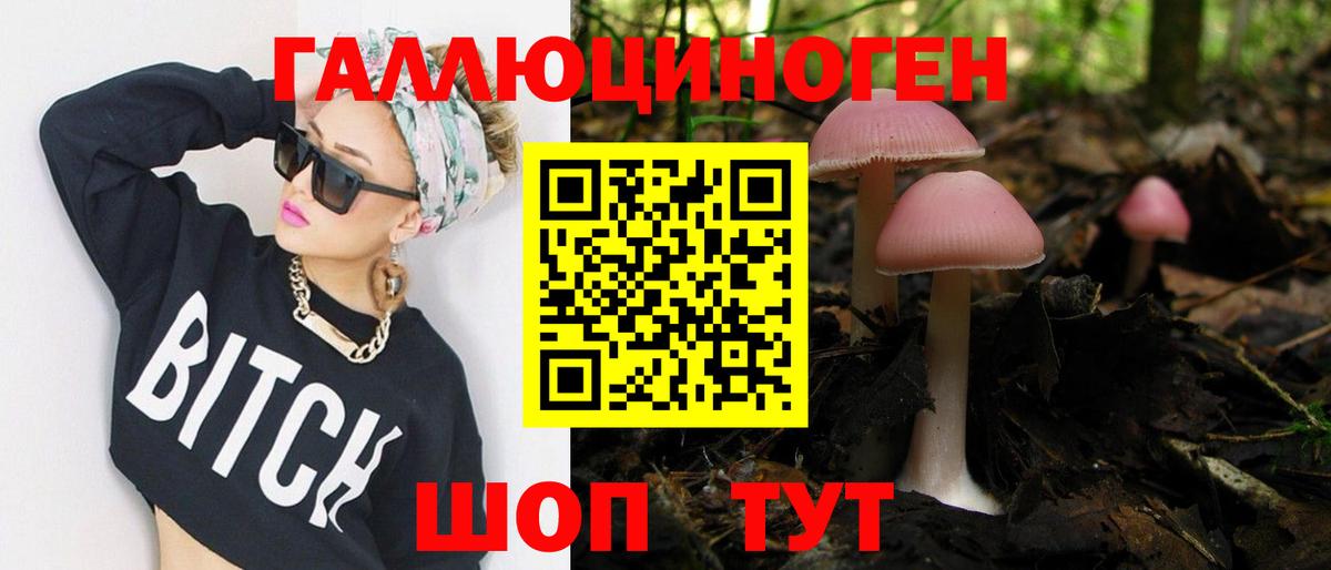 Братск  Галлюциногенные грибы прущие грибы  Галлюциногенные грибы ЛСД  Вход с VPN 